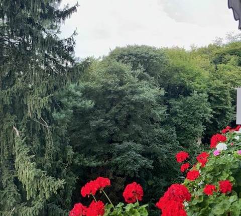 Trento sud appartamento tre stanze